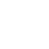 wordpress-1-1.png